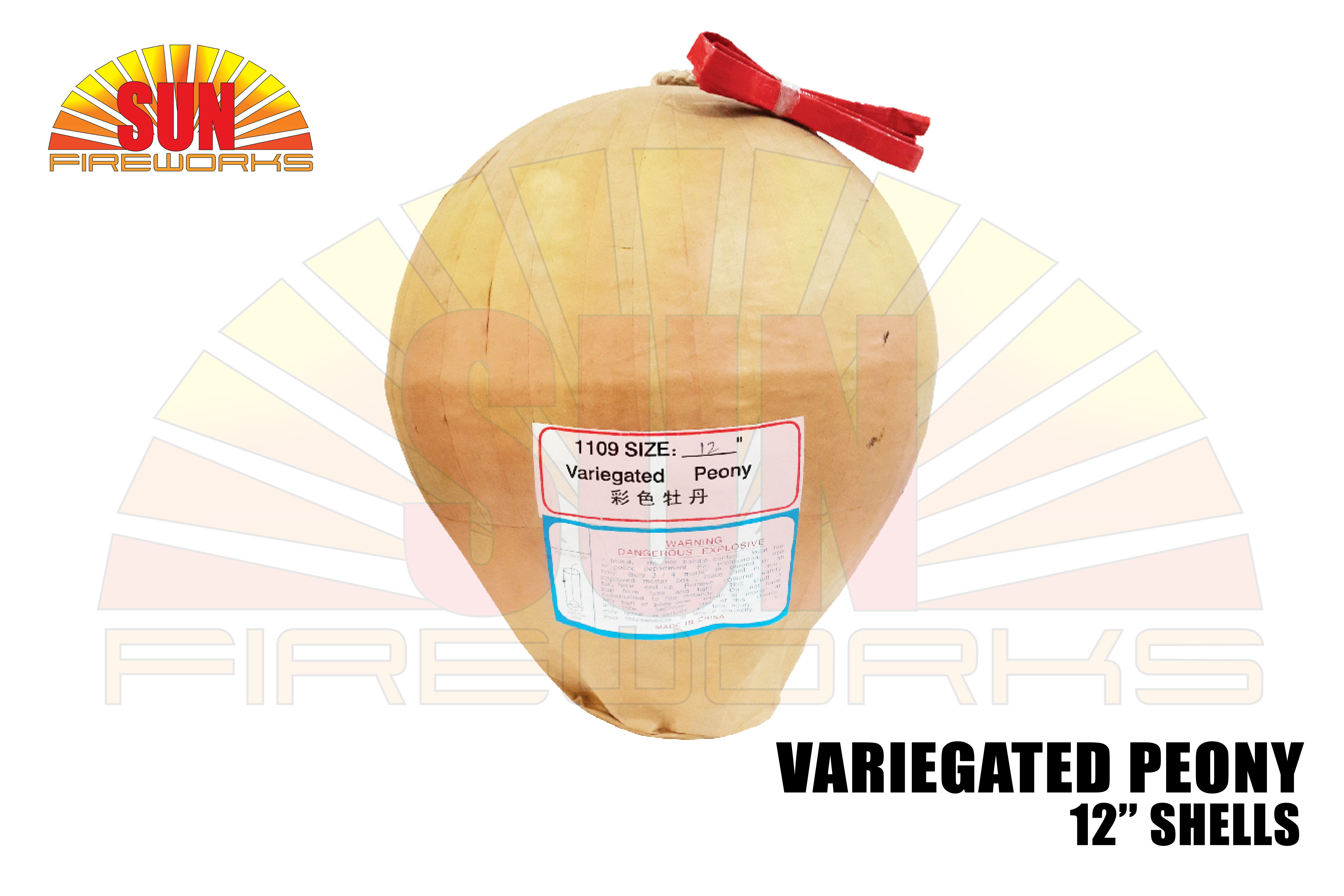 12_shells variegated peony